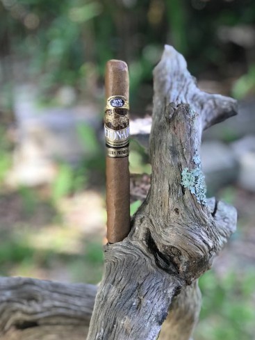 Debonaire Daybreak Toro