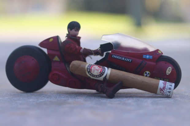 Indian Motorcycle Shade