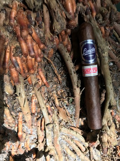 Lunatic Hysteria Aganorsa 