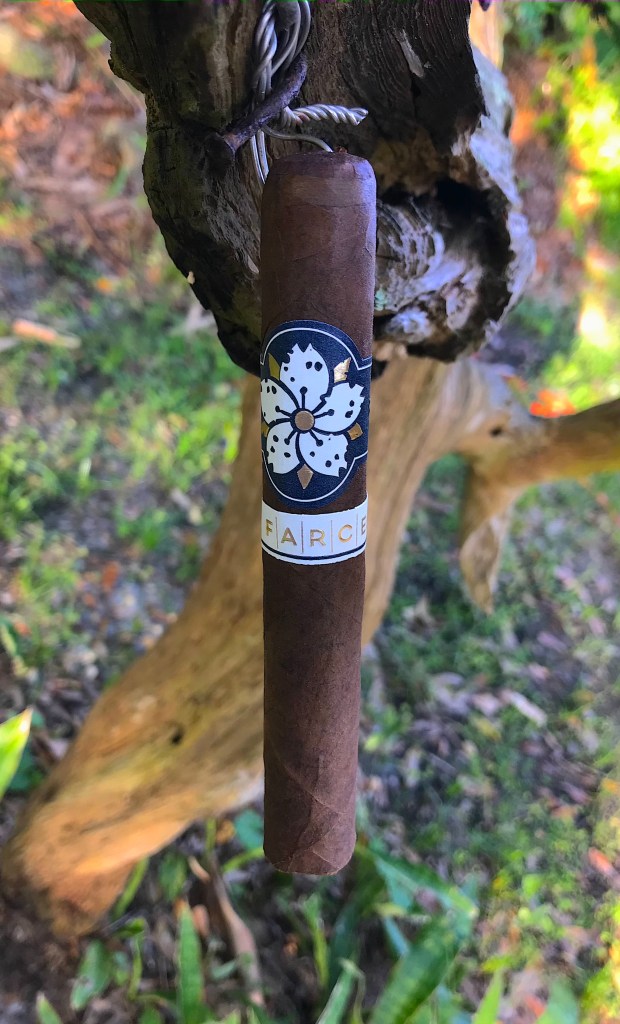 Room 101 Farce Maduro